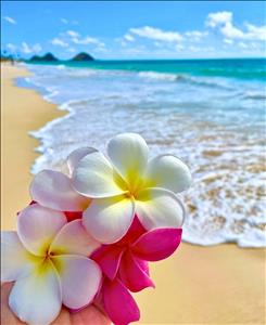 Massage Therapist Image