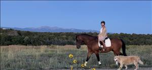 Massage Therapist Image