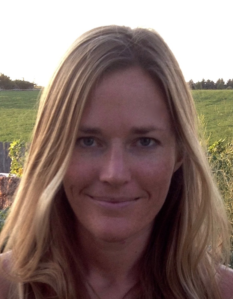 Massage Therapist Image