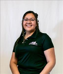 Massage Therapist Image