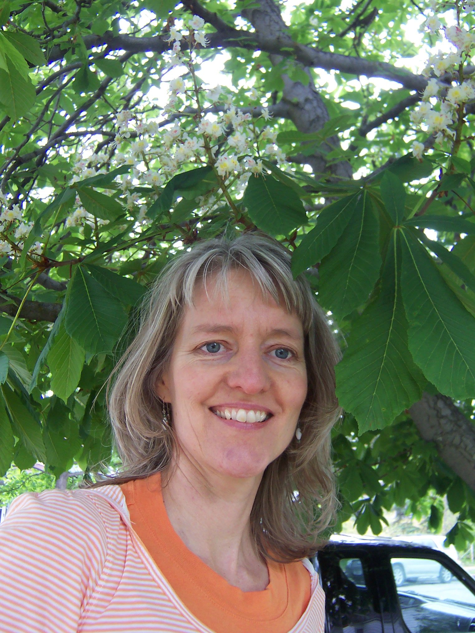 Massage Therapist Image