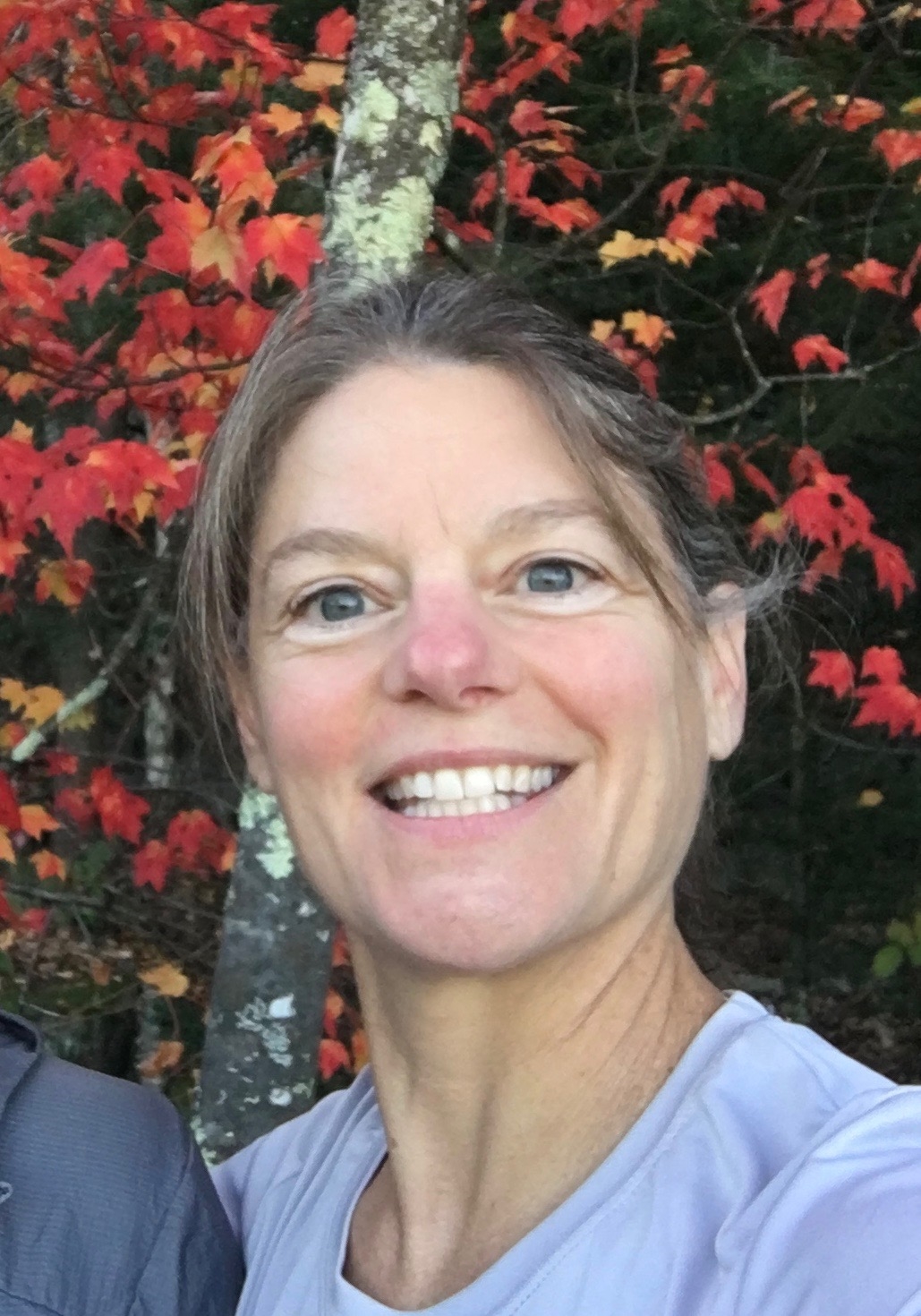 Massage Therapist Image