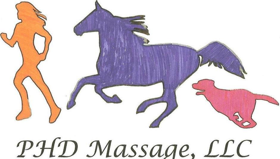 Massage Therapist Image