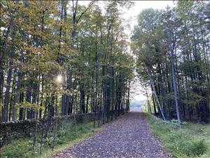 Massage Therapist Image