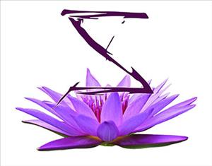 Massage Therapist Image