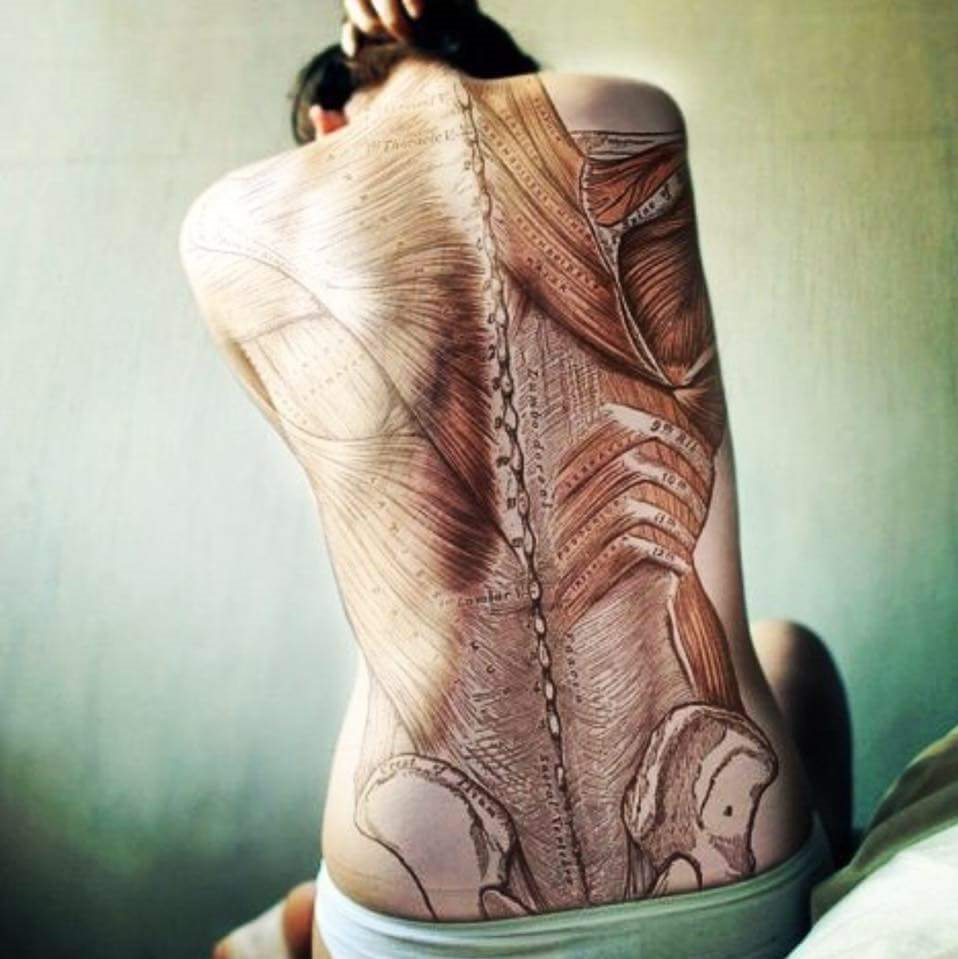 Massage Therapist Image