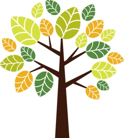 Massage Therapist Image