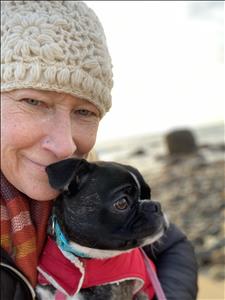 Massage Therapist Image