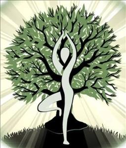 Massage Therapist Image