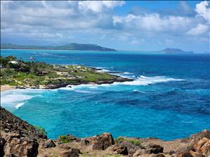 Massage Therapist Image