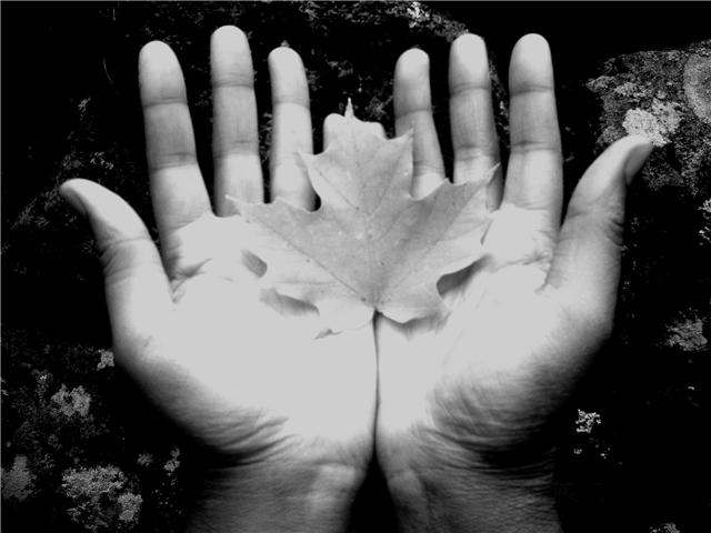 Massage Therapist Image