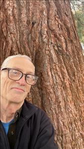 Massage Therapist Image