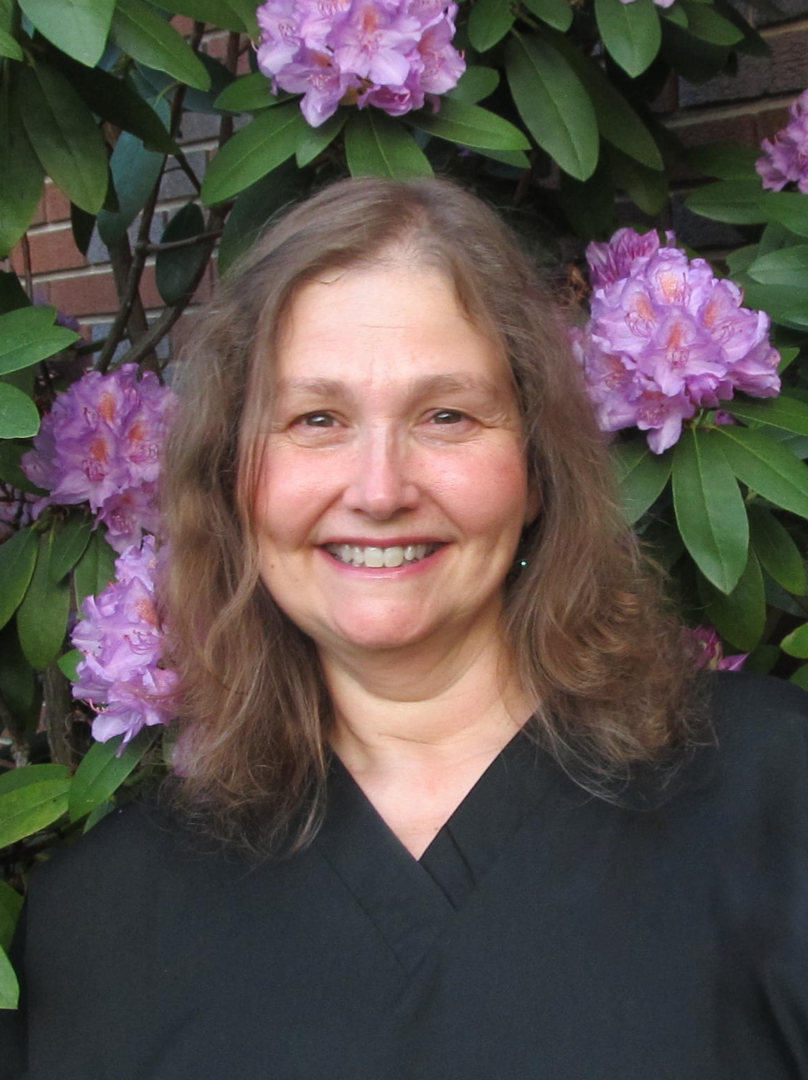 Massage Therapist Image