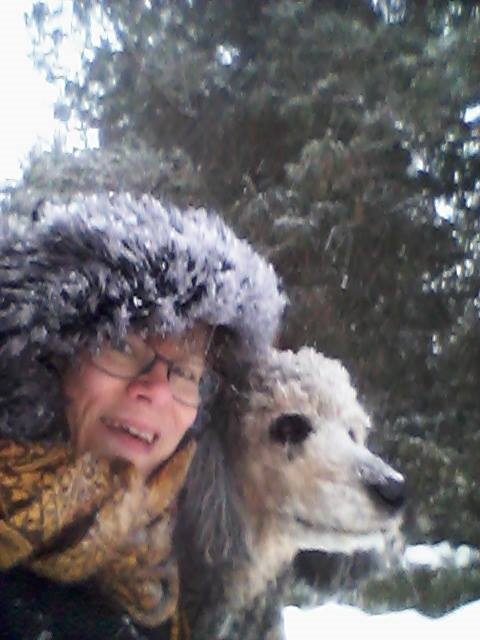 Massage Therapist Image