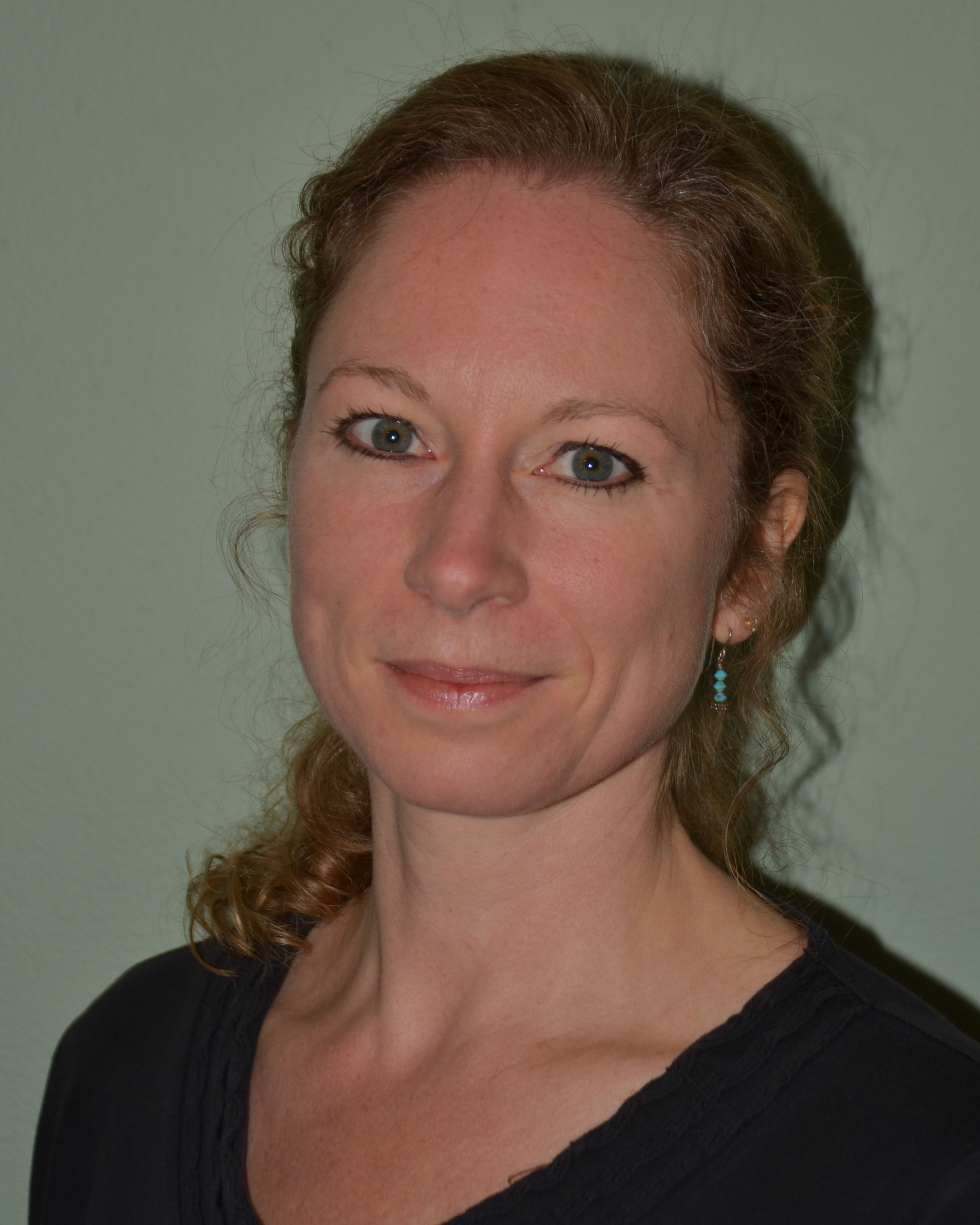 Massage Therapist Image