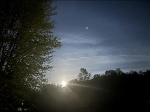 Massage Therapist Image