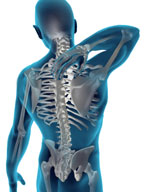 Massage Therapist Image