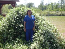 Massage Therapist Image