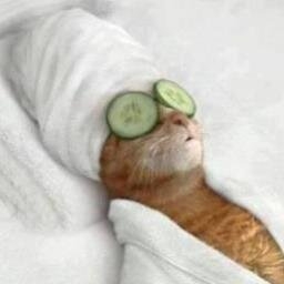 Massage Therapist Image